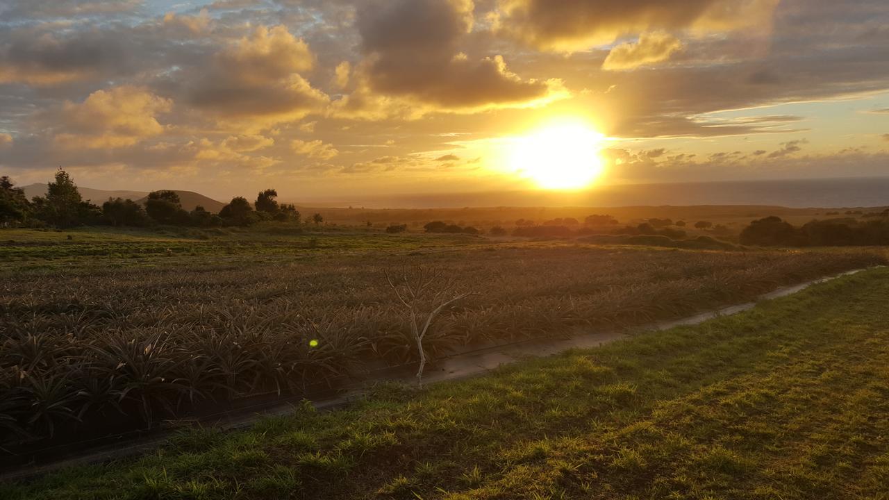 Maunga Roa Eco * Hanga Roa