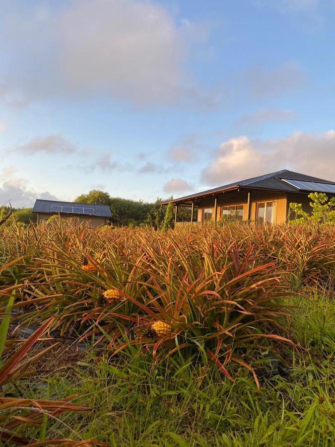 Maunga Roa Eco